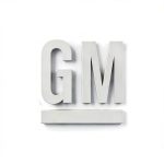 GM Fuel Pocket Exterior Trim Smooth Replacement-0