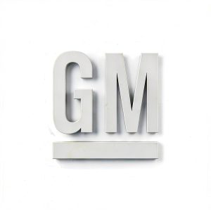 GM Fuel Pocket Exterior Trim Smooth Replacement-0